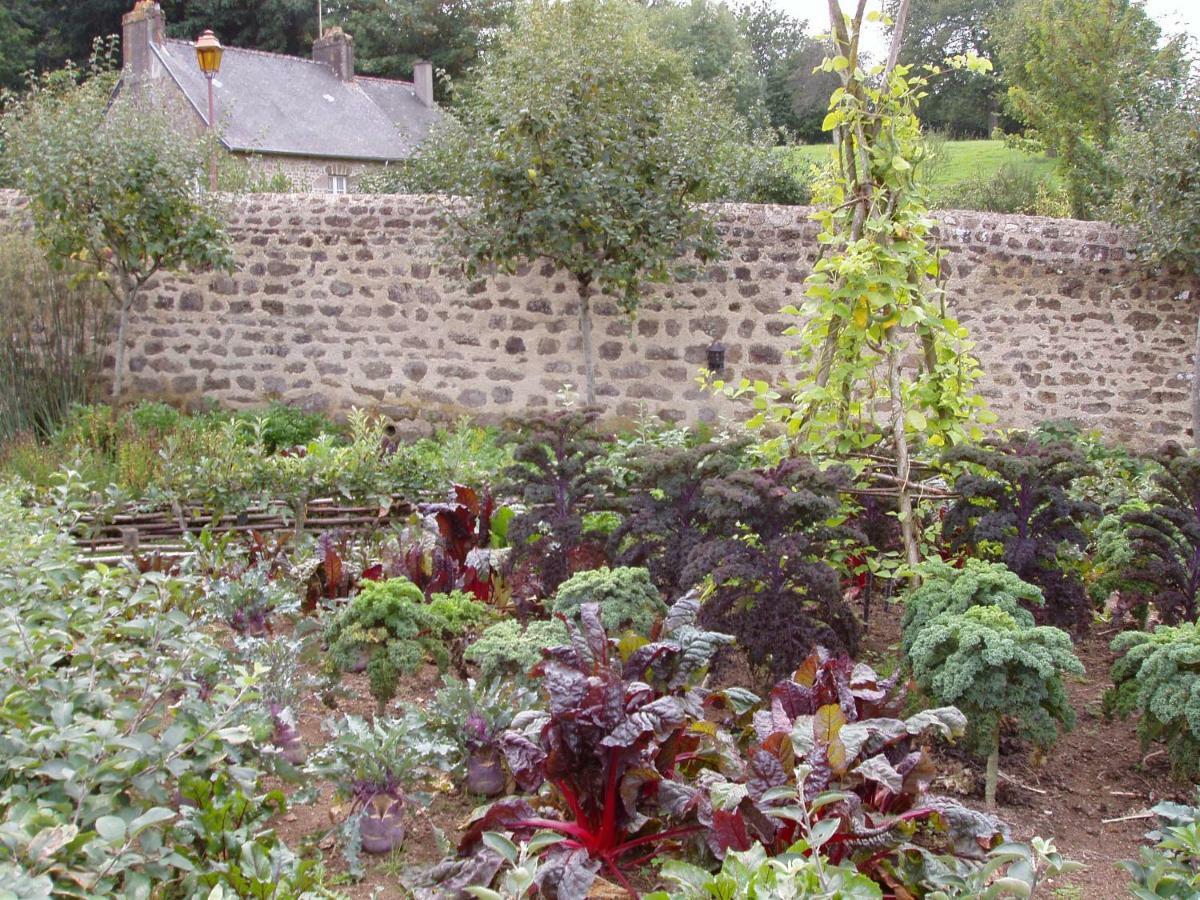 Chambres D'Hotes La Belle Taille Lassay-les-Chateaux ภายนอก รูปภาพ